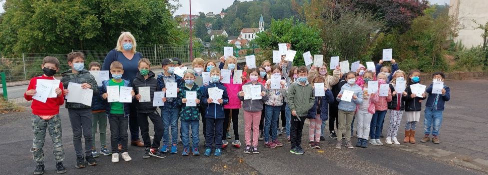 Foto: Nicole Krummenauer